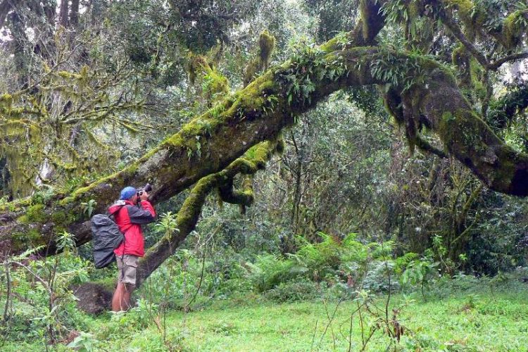 mount-meru-climbing_9